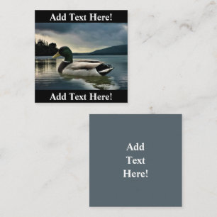 Mallard Duck On The Lake Square Business Card
