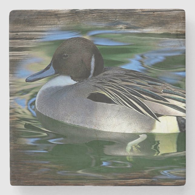 Mallard Duck On The Lake Stone Coaster (Front)
