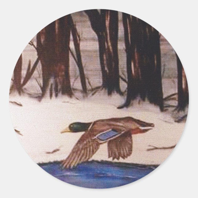 Mallard Duck on Winter Stream Classic Round Sticker (Front)