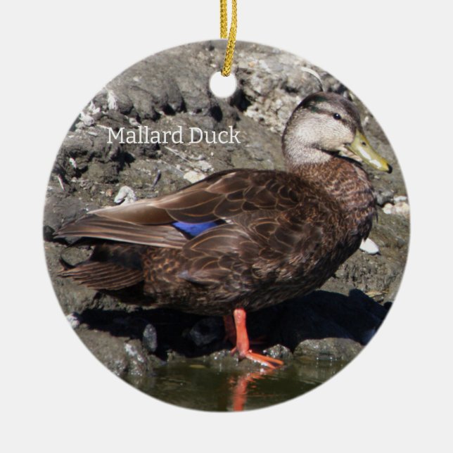 Mallard Duck Ornament  (Front)