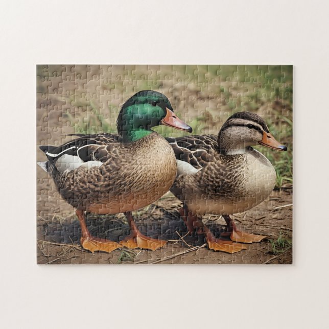 Mallard Duck Pair Jigsaw Puzzle (Horizontal)