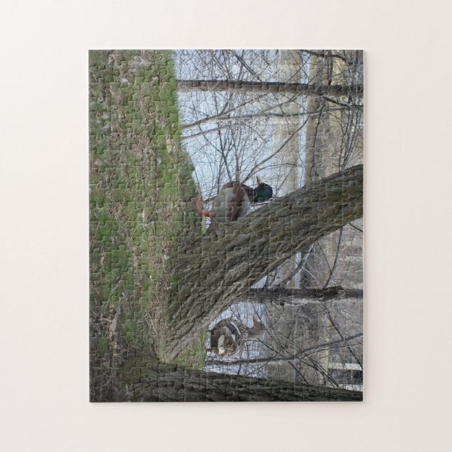 mallard duck pair jigsaw puzzle (Vertical)