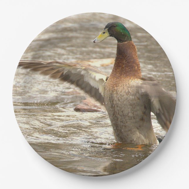 Mallard Duck Paper Plates (Front)