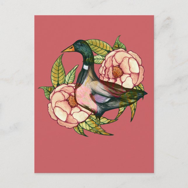 Mallard Duck Peony Nature Lovers                   Postcard (Front)