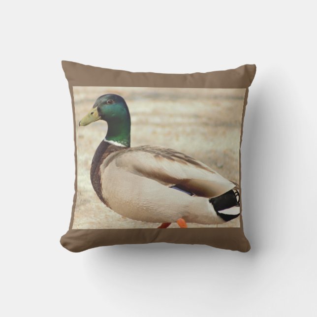 Mallard Duck Photo Cushion (Front)
