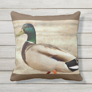 Mallard Duck Photo Cushion