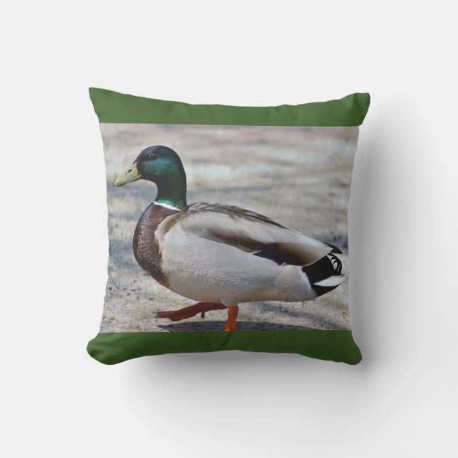 Mallard Duck Photo Cushion (Front)