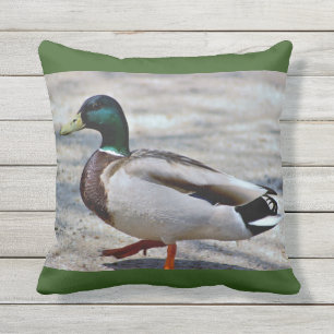 Mallard Duck Photo Cushion