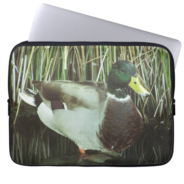 Mallard Duck Photo Distinctive Male Lake Bird Laptop Sleeve (Front)