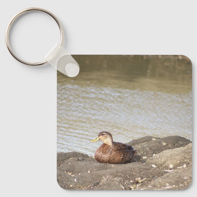 Mallard Duck Photo Keychain  (Front)