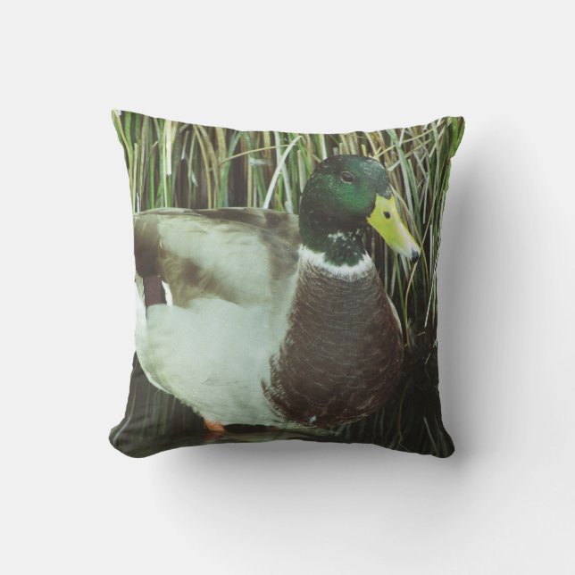 Mallard Duck Photo Male Lake Wildlife Bird Cushion (Front)