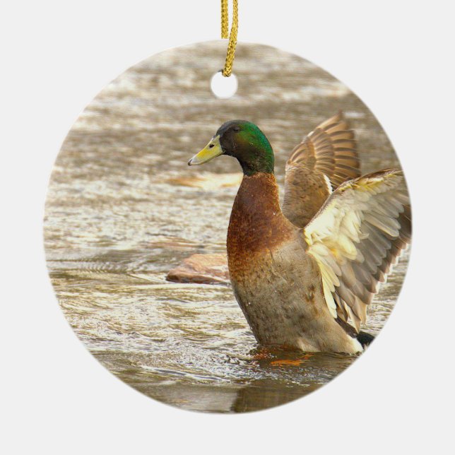 Mallard Duck Photo Ornament  (Front)