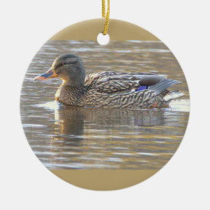 Mallard Duck Photo Ornament