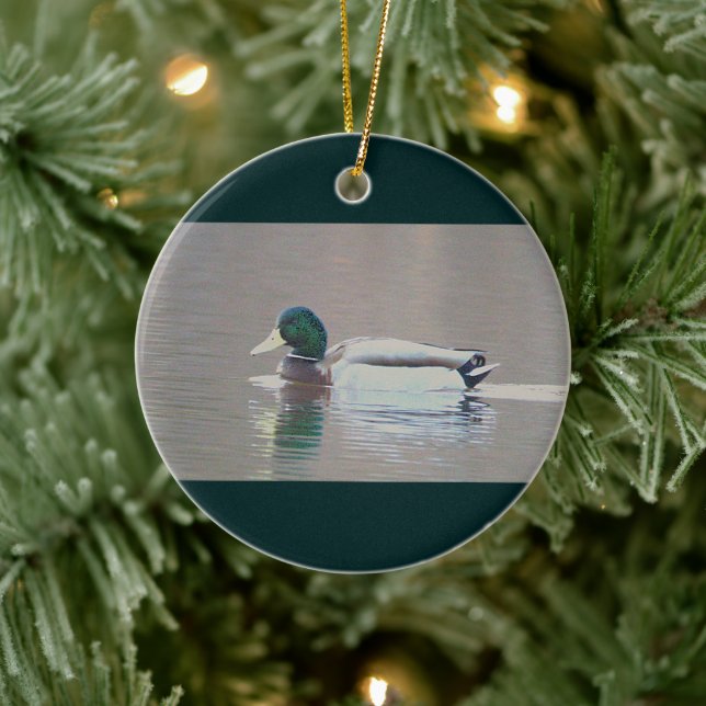 Mallard Duck Photo Ornament  (Tree)