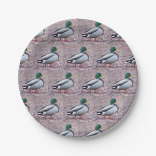 Mallard Duck Photo Paper Plate