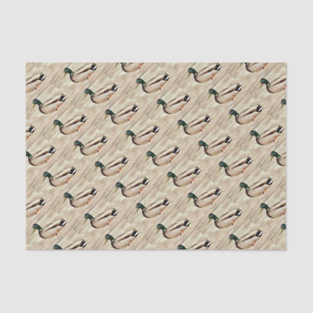 Mallard Duck Photo Tissue Paper (Front)
