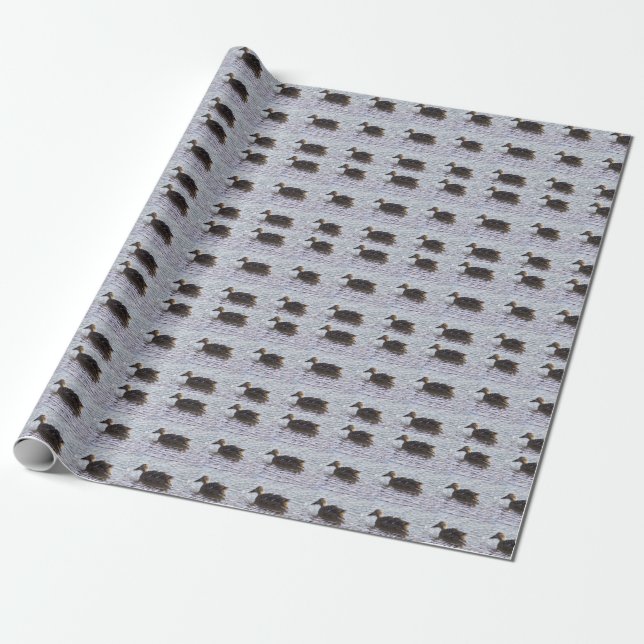 Mallard Duck Photo Wrapping Paper  (Unrolled)