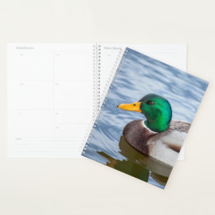 Mallard Duck Planner