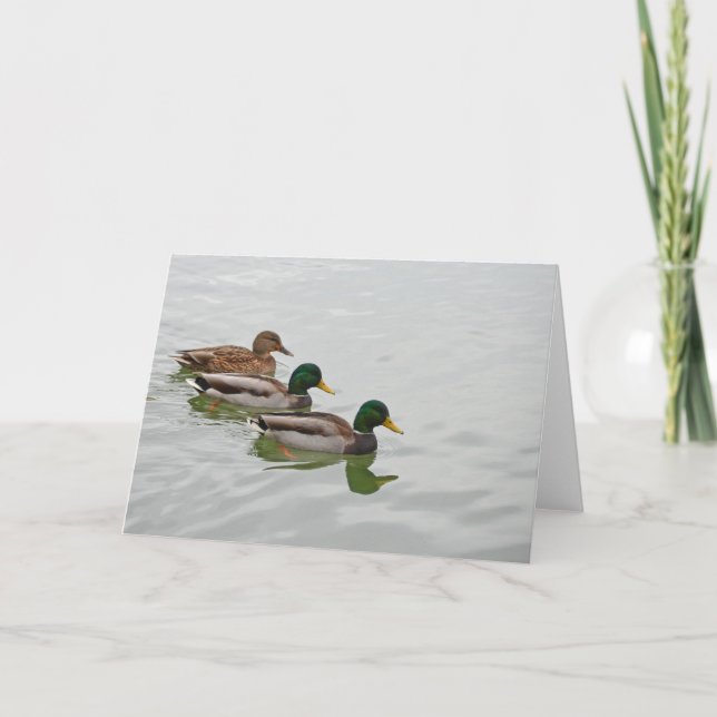 Mallard duck print greeting card (Front)