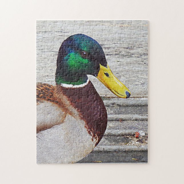 Mallard duck Puzzle (Vertical)