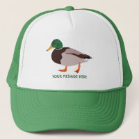 Mallard Duck Realistic Illustration Personalised