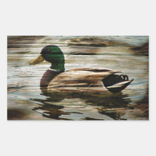 Mallard Duck Rectangular Sticker