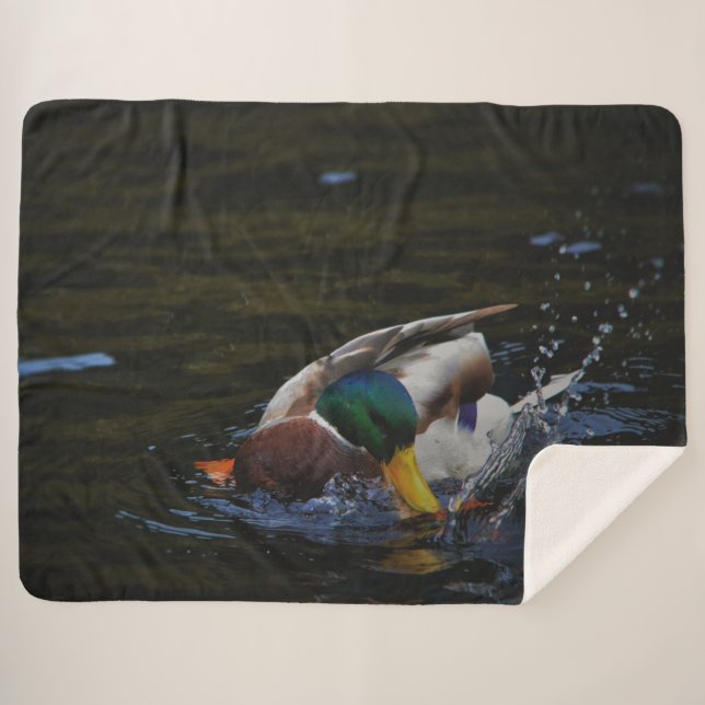 MALLARD DUCK SHERPA BLANKET (Front (Horizontal))