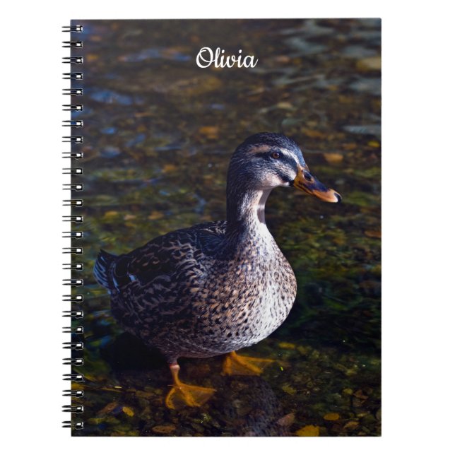 Mallard Duck Spiral notebook (Front)