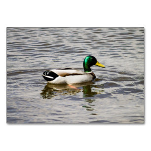 Mallard Duck Table Number