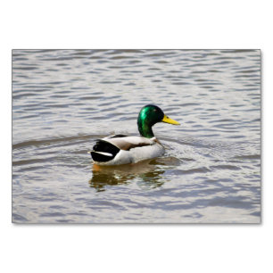 Mallard Duck Table Number