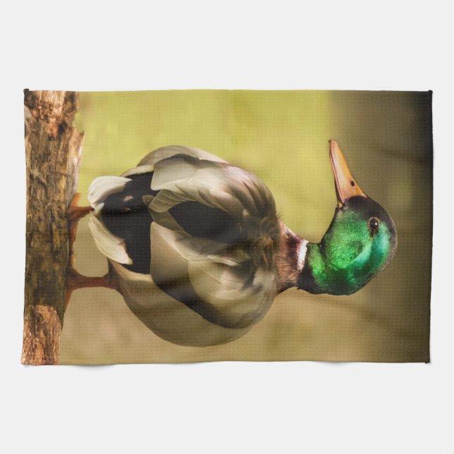 Mallard Duck Tea Towel (Horizontal)
