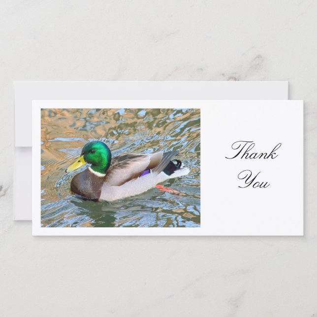 Mallard Duck - Thank You Card (Front)