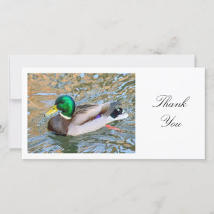 Mallard Duck - Thank You Card