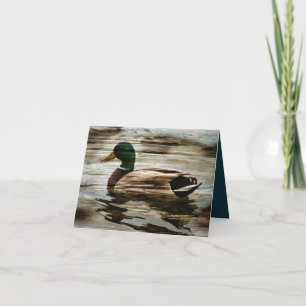 Mallard Duck Thank You Card