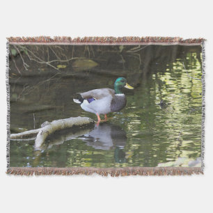Mallard duck throw blanket