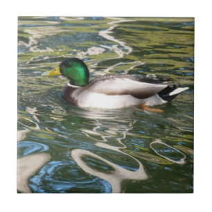 Mallard Duck Tile