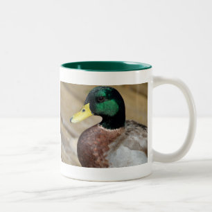 Mallard Duck Two-Tone Coffee Mug
