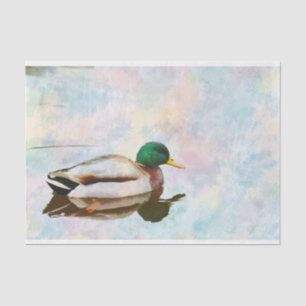 Mallard Duck Watercolor Tissue Paper
