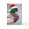 Mallard Duck Wearing Red Santa Hat Holiday Card