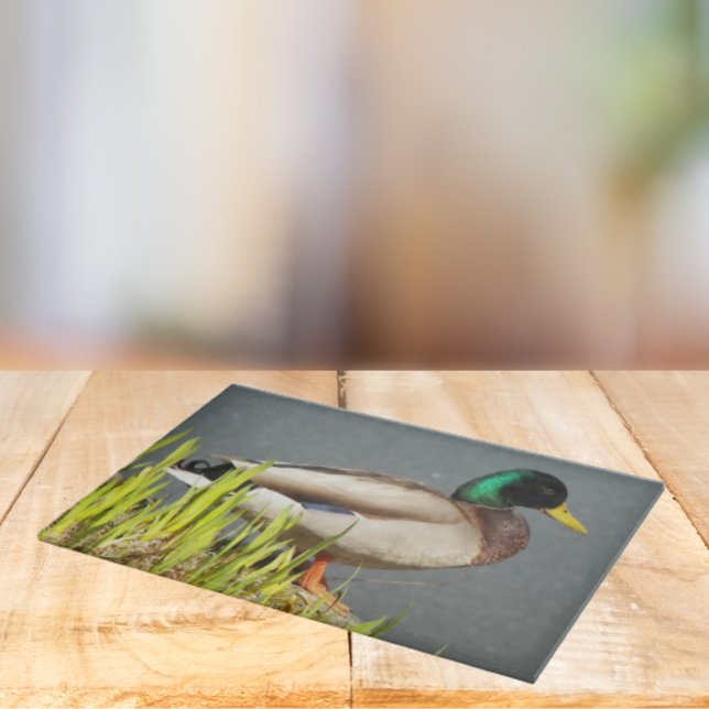 Mallard Duck Wildlife Large Cutting Board (In Situ)