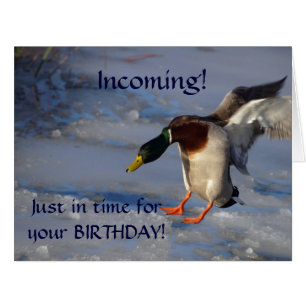 Mallard Duck Wildlife Photo for Bird-lovers