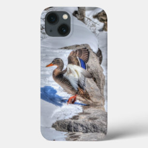 Mallard Duck Wildlife Photo for Bird-lovers iPhone 13 Case