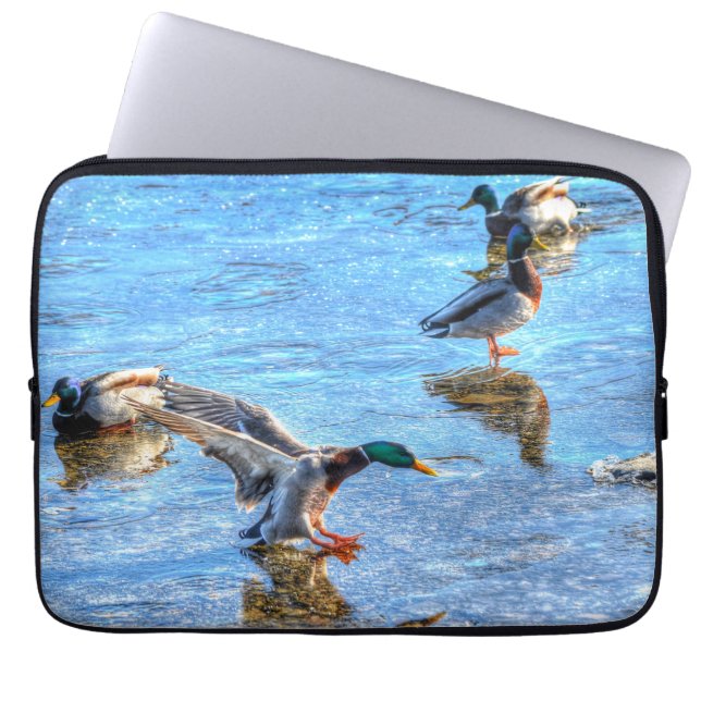Mallard Duck Wildlife Photo for Bird-lovers Laptop Sleeve (Front)