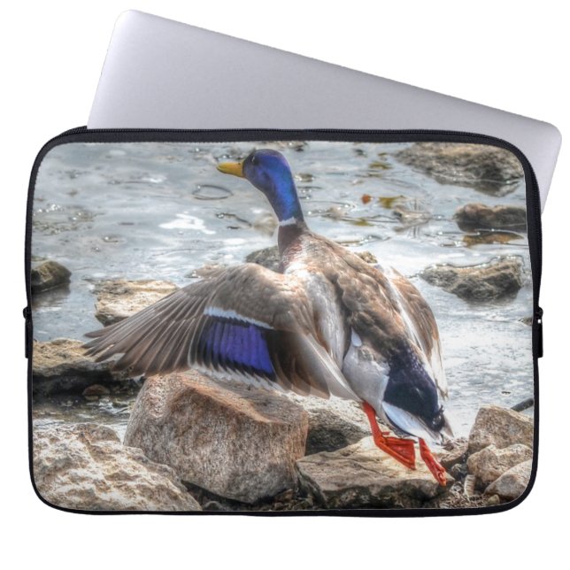 Mallard Duck Wildlife Photo for Bird-lovers Laptop Sleeve (Front)