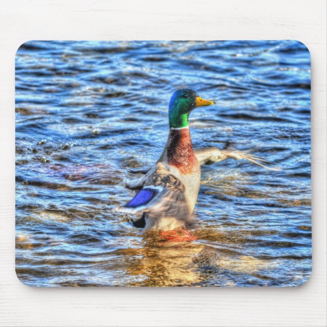 Mallard Duck Wildlife Photo for Bird-lovers Mouse Pad (Front)