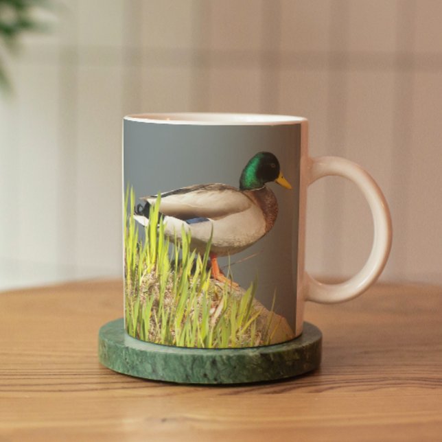 Mallard Duck Wildlife Photo Mug (In Situ Coaster)