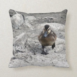 Mallard Duckling 9043 Cushion