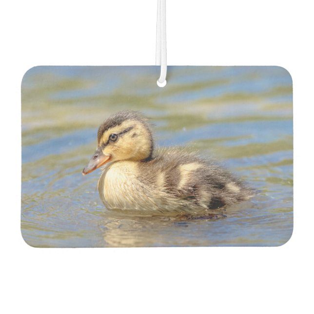 Mallard Duckling Car Air Freshener (Front)