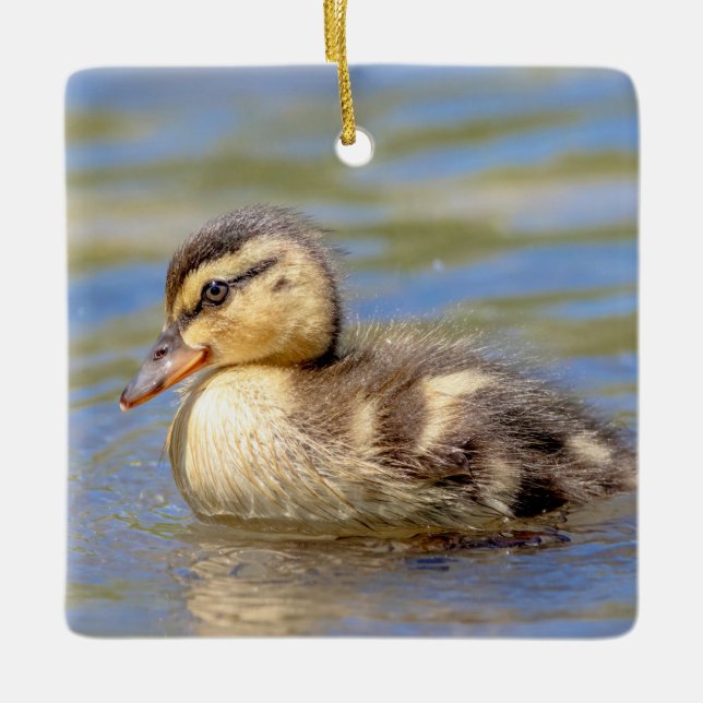 Mallard Duckling Ceramic Ornament (Front)