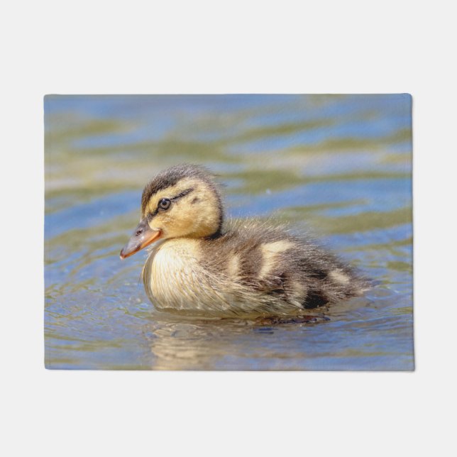 Mallard Duckling Doormat (Front)